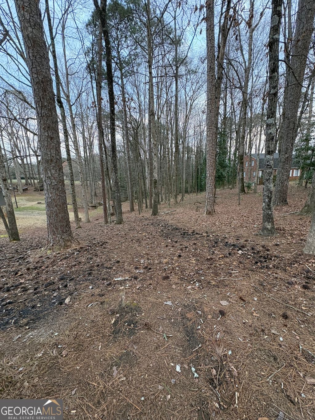 Photo of 0 Azalea Drive, Fairburn, GA 30213 (MLS # 10696121)