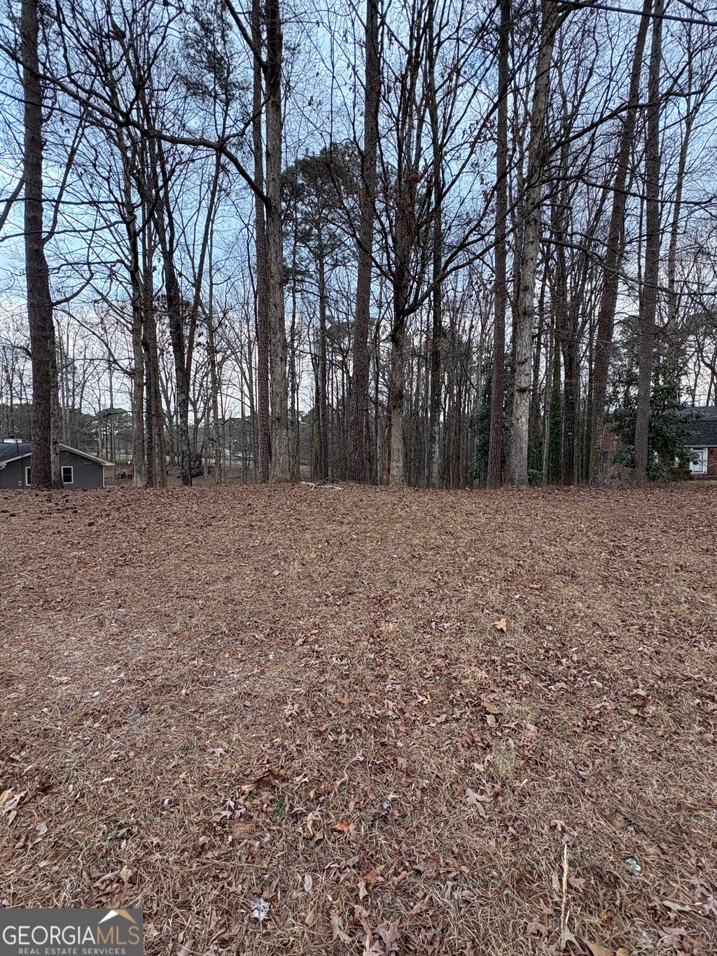 Photo of 0 Azalea Drive, Fairburn, GA 30213 (MLS # 10696121)