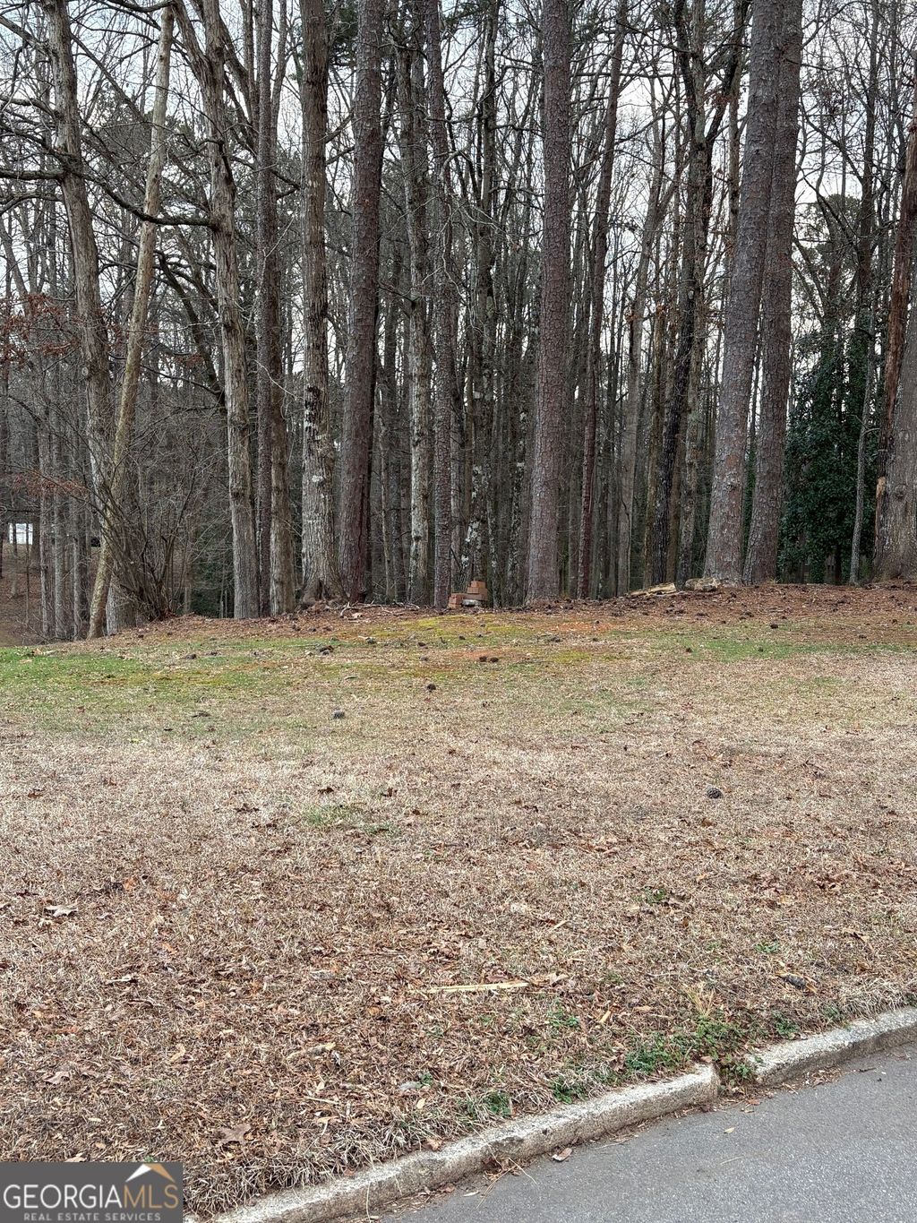 Photo of 0 Azalea Drive, Fairburn, GA 30213 (MLS # 10696121)