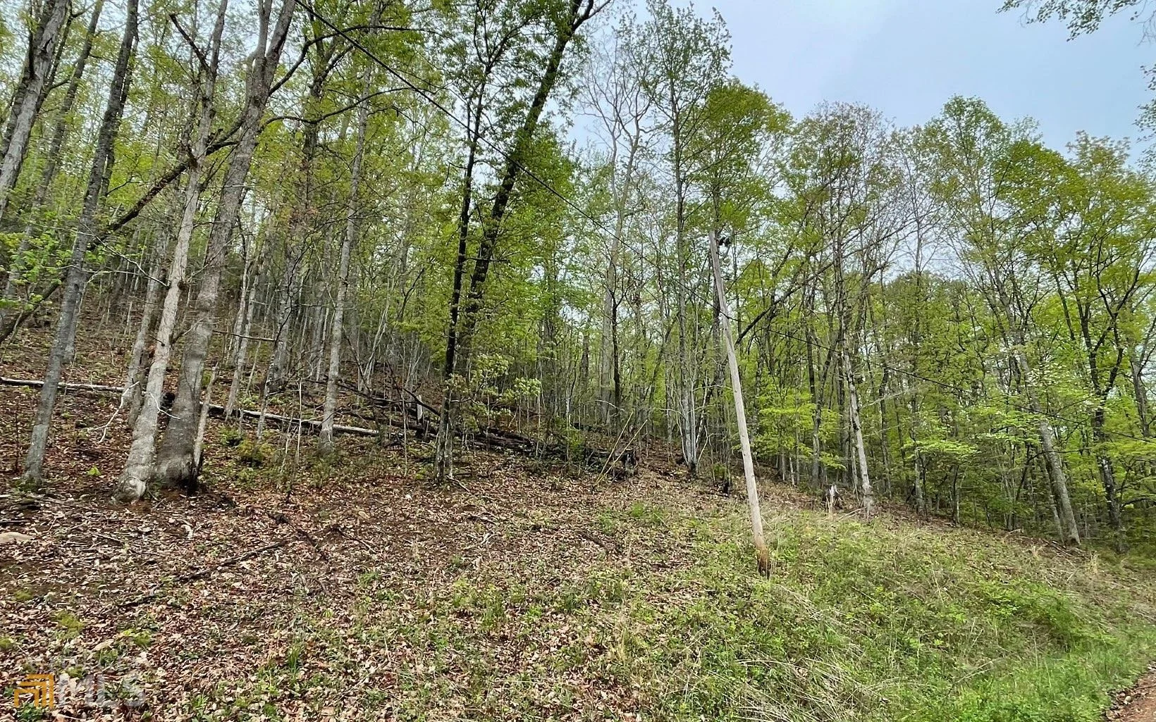 LOT 31 Nelson Ridge
