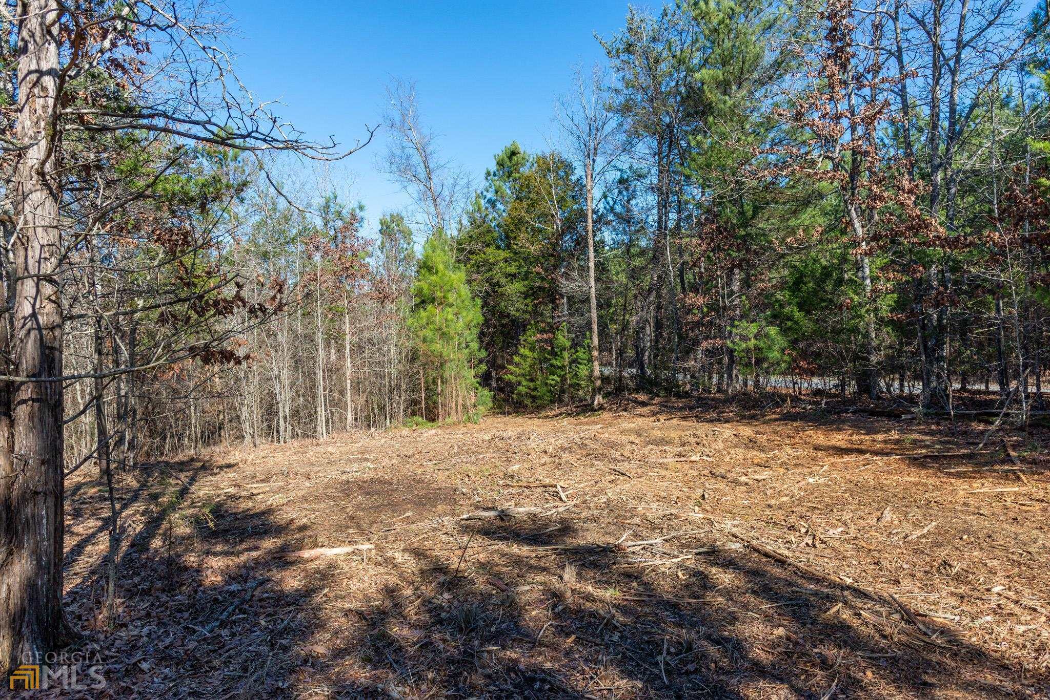 Lot #4 The Estates at Lick Creek is the largest lot available in this new development of 11 Estate lots. Private 9.81 acre CREEK-FRONT ESTATE HOMESITE! Located only 1.5 Miles directly off I-75! Gentle topography and beautiful hardwoods and pines. Driveway and trail has been cut into lot to make it easy to walk. LOCATION, LOCATION LOCATION < 2 miles to I-75, 2 miles to Resaca Battlefield state park (6 miles of hiking trails) 10 min to Calhoun, 20 min to Dalton, 20 min to Adairsville, 30 min to Carters Lake, 45 min to Chattanooga. Utilities include public water, power. Corner lot with hundreds of feet buffer between neighbors. No HOA or Covenants at The Estates at Lick Creek. Minimal deed restrictions (minimum build requirement of 1,250 s.f. on main level, no mobile homes) Bring in your own plans and your own builder. No time frame to build. Lot lender financing available with only 20% down! Favorable level 1 soil test! 4 of the 11 lots sold in first week on market! These will not last long! Call today!