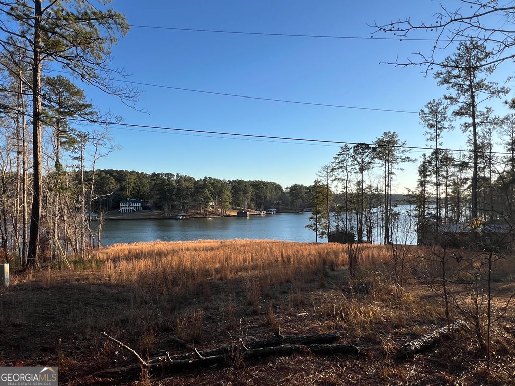 Photo of 4 Sugar Bear Rd, Sparta, GA 31087 (MLS # 10676054)