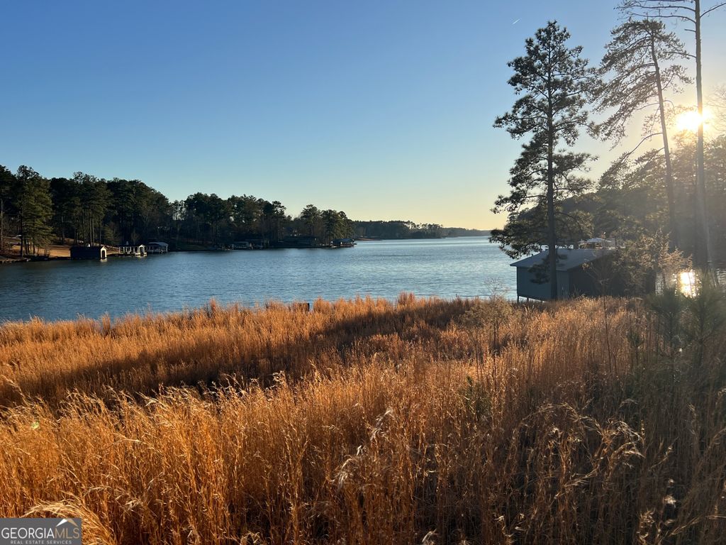 Photo of 4 Sugar Bear Rd, Sparta, GA 31087 (MLS # 10676054)