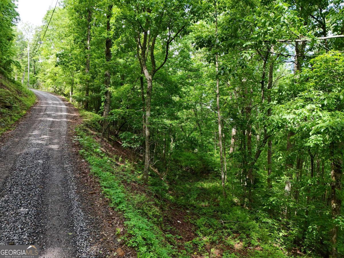 Great opportunity to build on 2 Lots! With some vista pruning you would have AMAZING LONG RANGE MOUNTAIN VIEWS! NO COVENANTS & RESTRICTIONS! Short Term Rentals Allowed! Build 1 or 2 homes! Located in an area of easy access! Water, electric and Fiber Optic is available. Bring your builder, house plans and get your home built before winter! Conveniently located to Downtown Hiawassee and Lake Chatuge. Call me today!