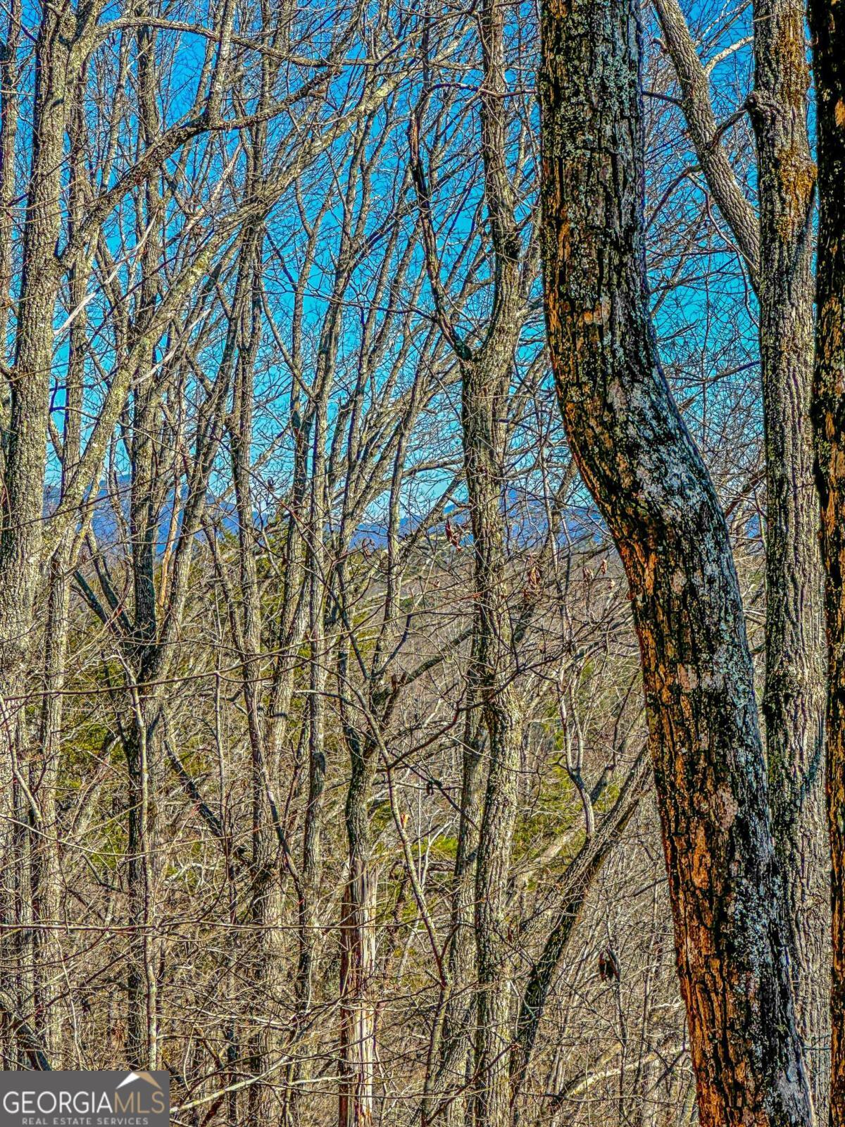 00 River Highlands RD