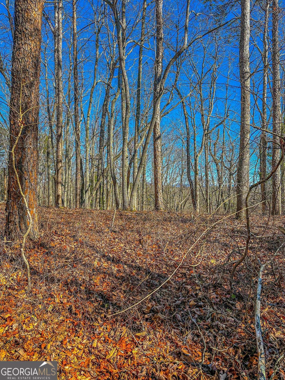 00 River Highlands RD