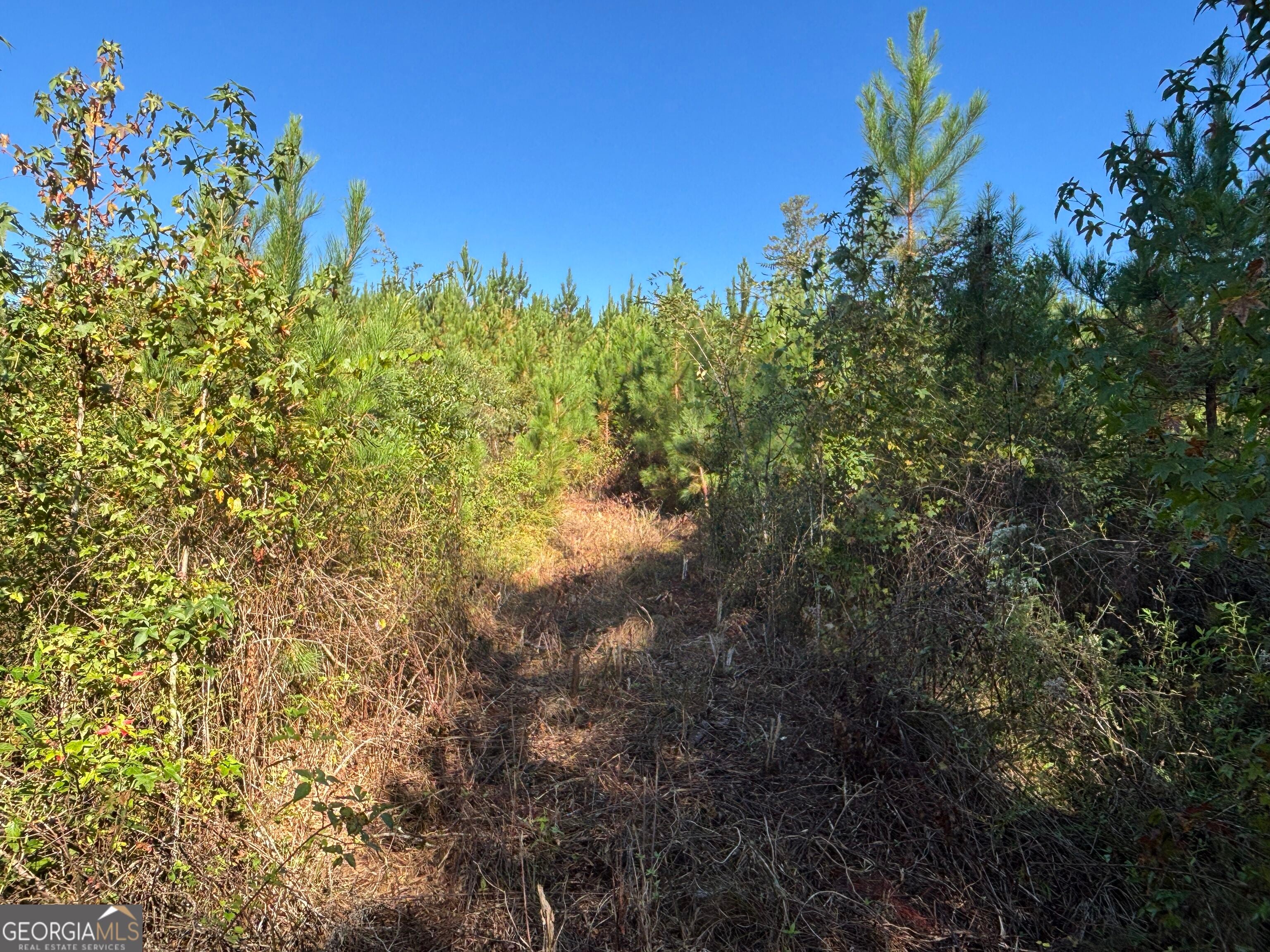 0 Kilpatrick Rd Tract 2A