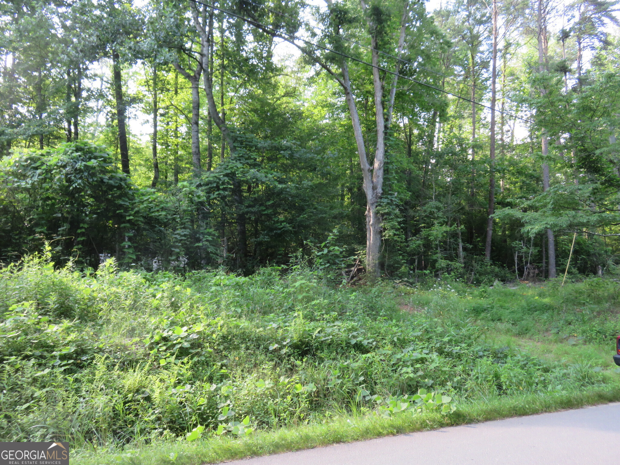 Unrestricted property near the Sautee Valley!! This all-wooded 3.15 acres has 723 feet of road frontage and county water. So much potential. So close to the Sautee Valley, the Hardman Farm and alpine Helen. This type of property doesn't often come available. So don't miss this one!!