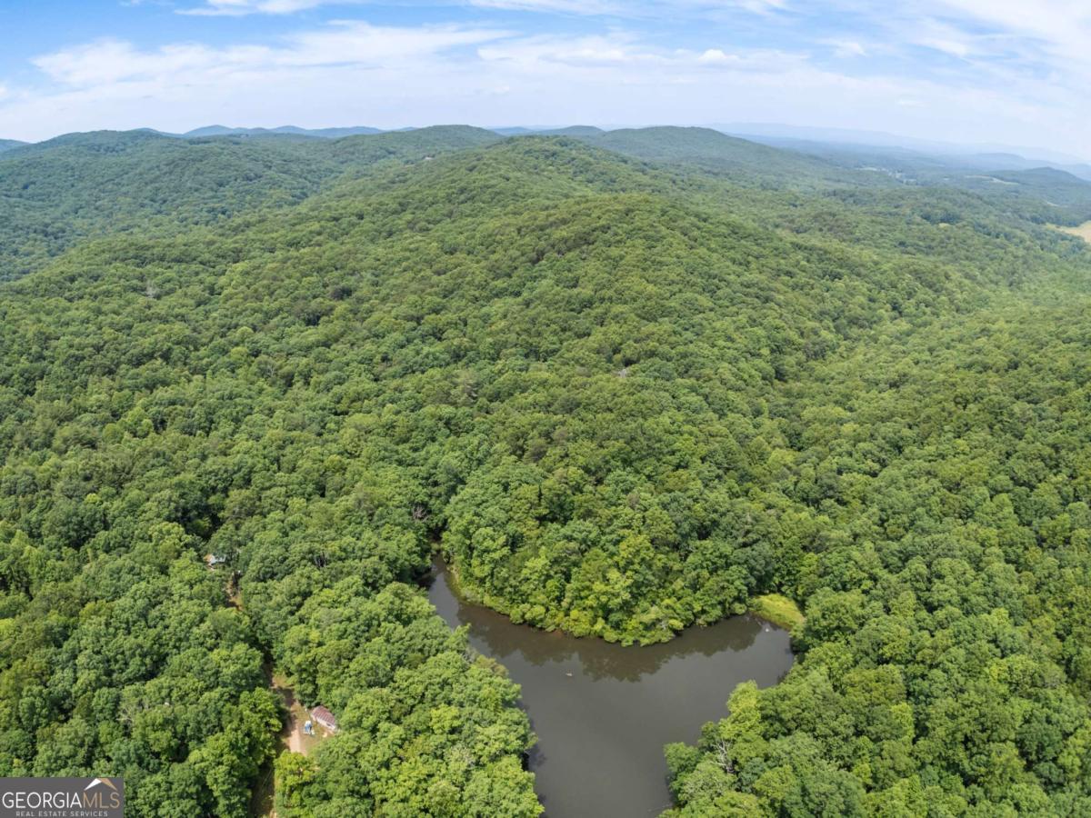 57.64 AC Mountain Ash RD