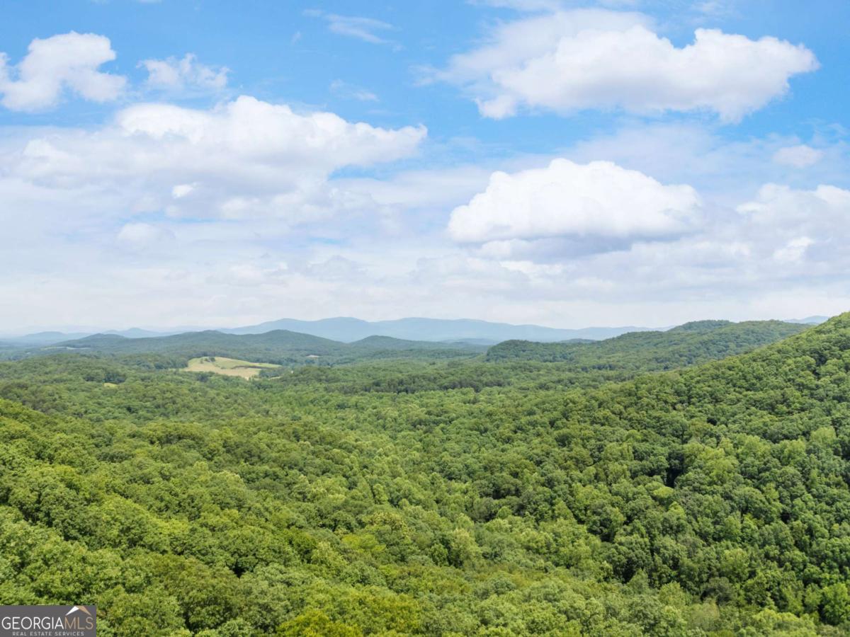 57.64 AC Mountain Ash RD
