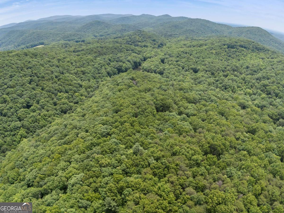 57.64 AC Mountain Ash RD