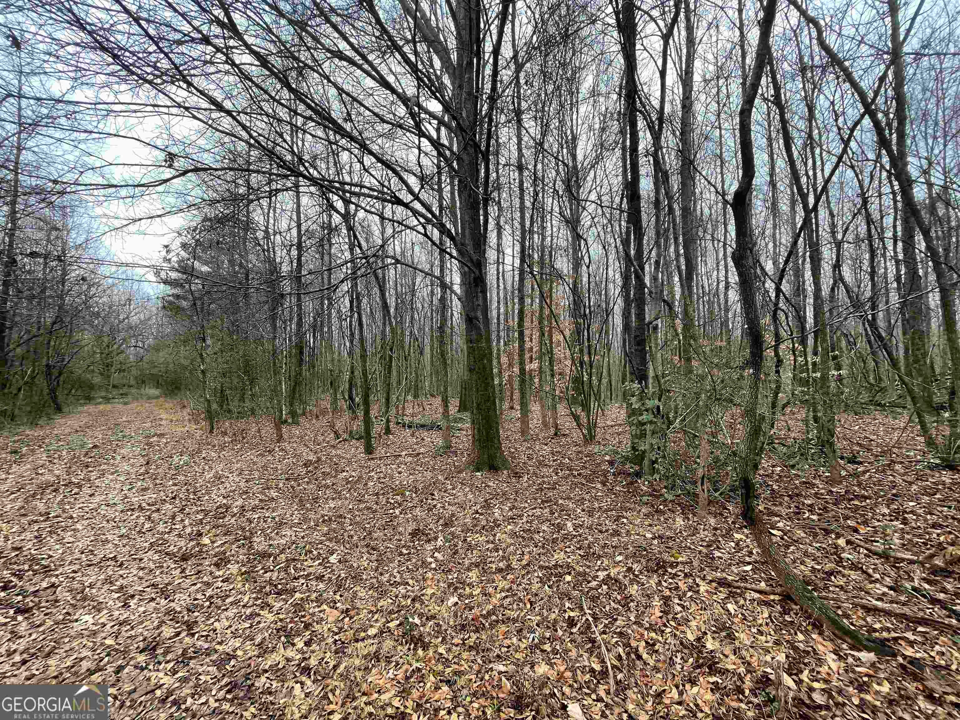 0 Holiness Campground RD