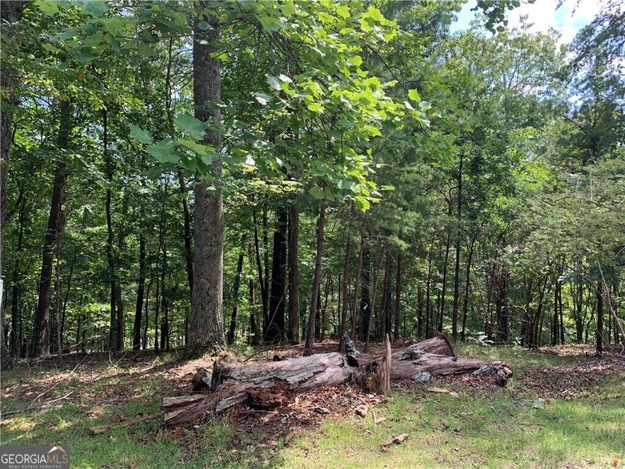 Stunning .58 acre lot available on a cul-de-sac in the mountain community of Lake Arrowhead. The price will include a floor plan and the survey with a closing before the 2024 year-end, ready for your custom homeCobasement Lot.  The Lake Arrowhead community boasts a spring-fed 540-acre lake surrounded by mountains with 20 miles of shoreline and a depth of 80 feet. Explore miles of diverse hiking trails catering to all skill levels. Enjoy resort amenities of a championship 18-hole golf course, Clubhouse & Grill, two pools, tennis & pickleball courts, pavilions & playgrounds, a dog park, and much more! Conveniently located 1 hour north of Atlanta airport. An ideal year-round retreat nestled in the picturesque North Georgia mountains!