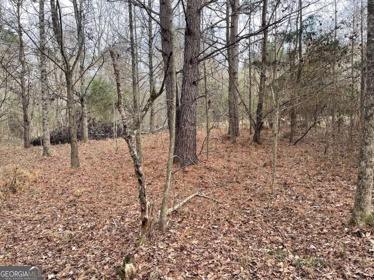 884 Jackson Trail RD