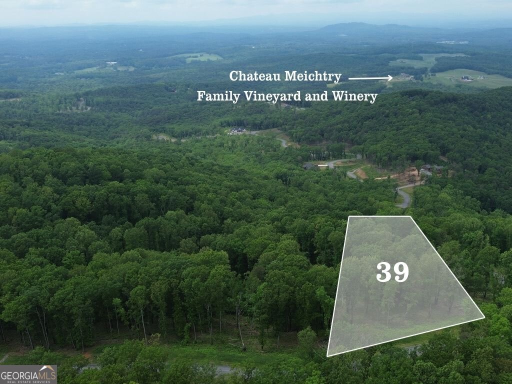 Stunning Mountain Views Await! Build your dream home on this fantastic square lot in the sought-after gated community of The Vineyard at Yukon in Talking Rock, GA. Enjoy breathtaking vistas once developed, with a prime location just steps from the community pool and CThe LookoutC pavilionCoperfect for relaxing or entertaining. Electricity and high-speed internet are already installed, and the property comes with a completed plat and soil test for your convenience. Community guidelines are available upon request, and if you need a trusted builder, weCOre happy to connect you with one. Located right next to Chateau Meichtry Family Vineyard and Winery and only 20 minutes from the shops, dining, and charm of downtown Ellijay. Additional lots (40, 41, and 43) are also availableCobring your vision and secure your slice of North Georgia living today!