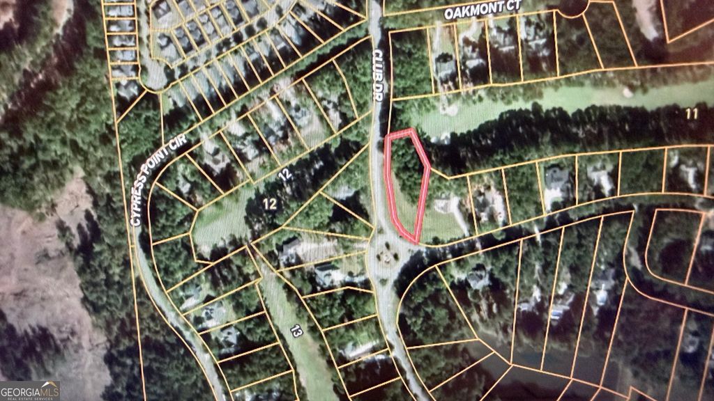 Photo of 1540 Club Drive, Greensboro, GA 30642 (MLS # 10766040)