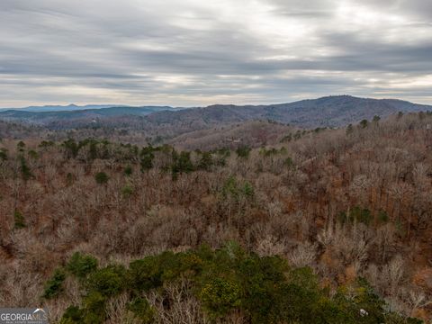 960 Aurora LN Ranger GA 30734
