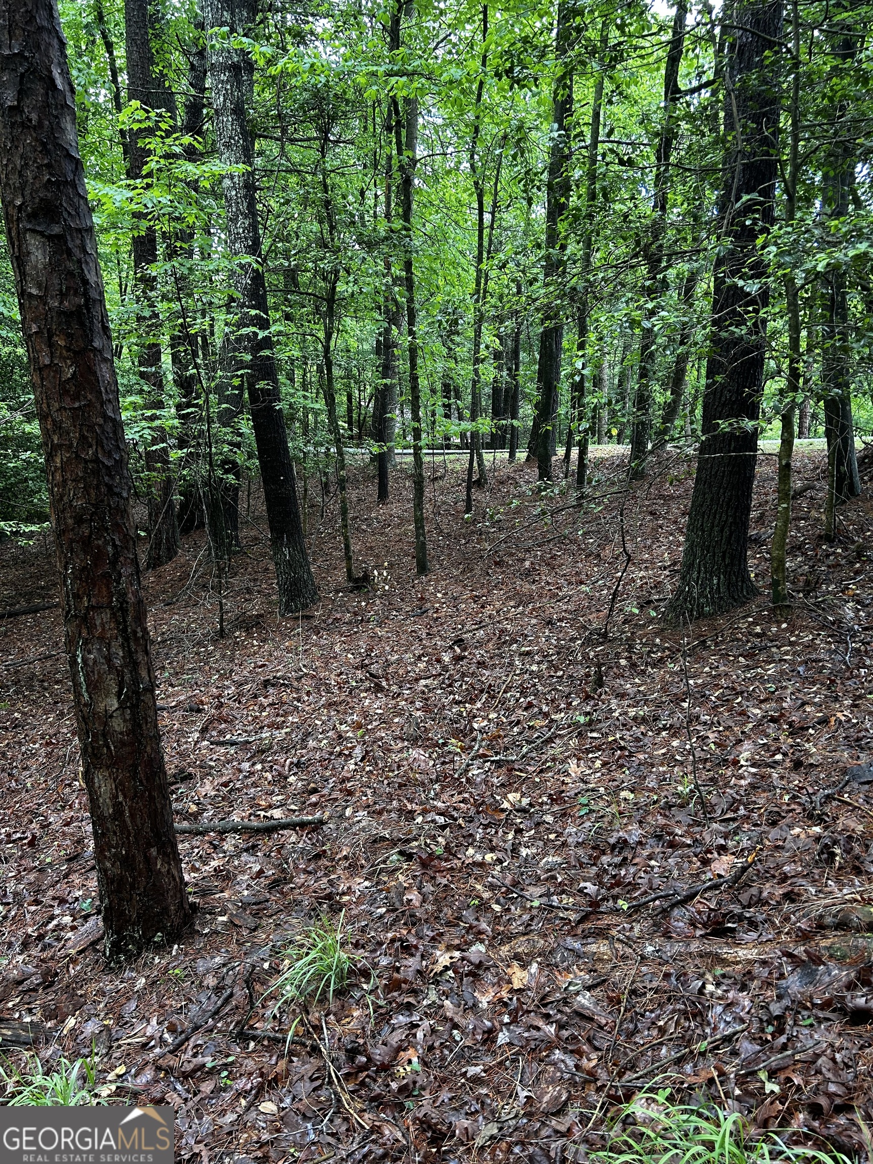 1.08 ACRES 00 Lazy River LN