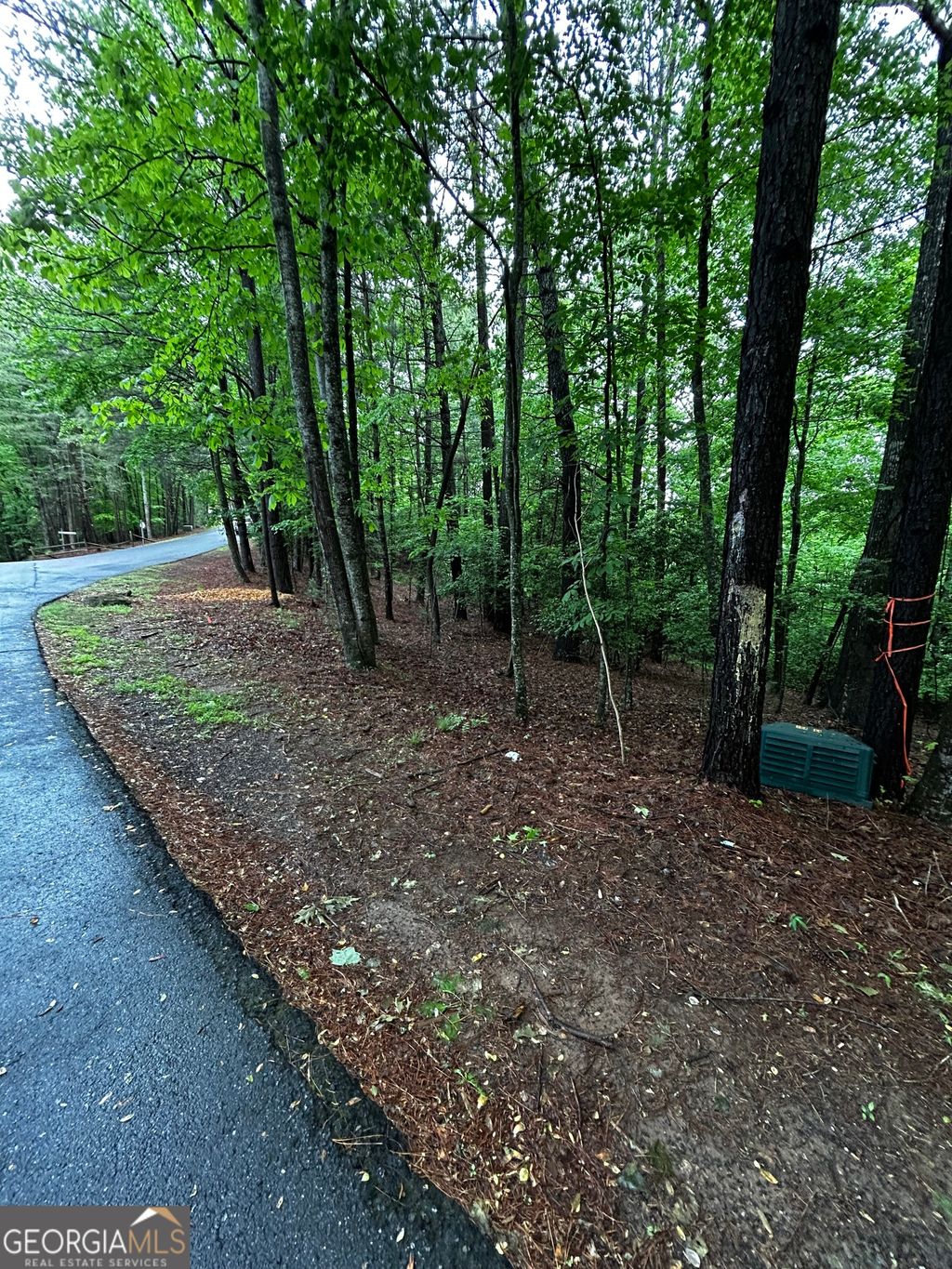 Photo of 10800 Lazy River Lane, Ellijay, GA 30540 (MLS # 10760899)