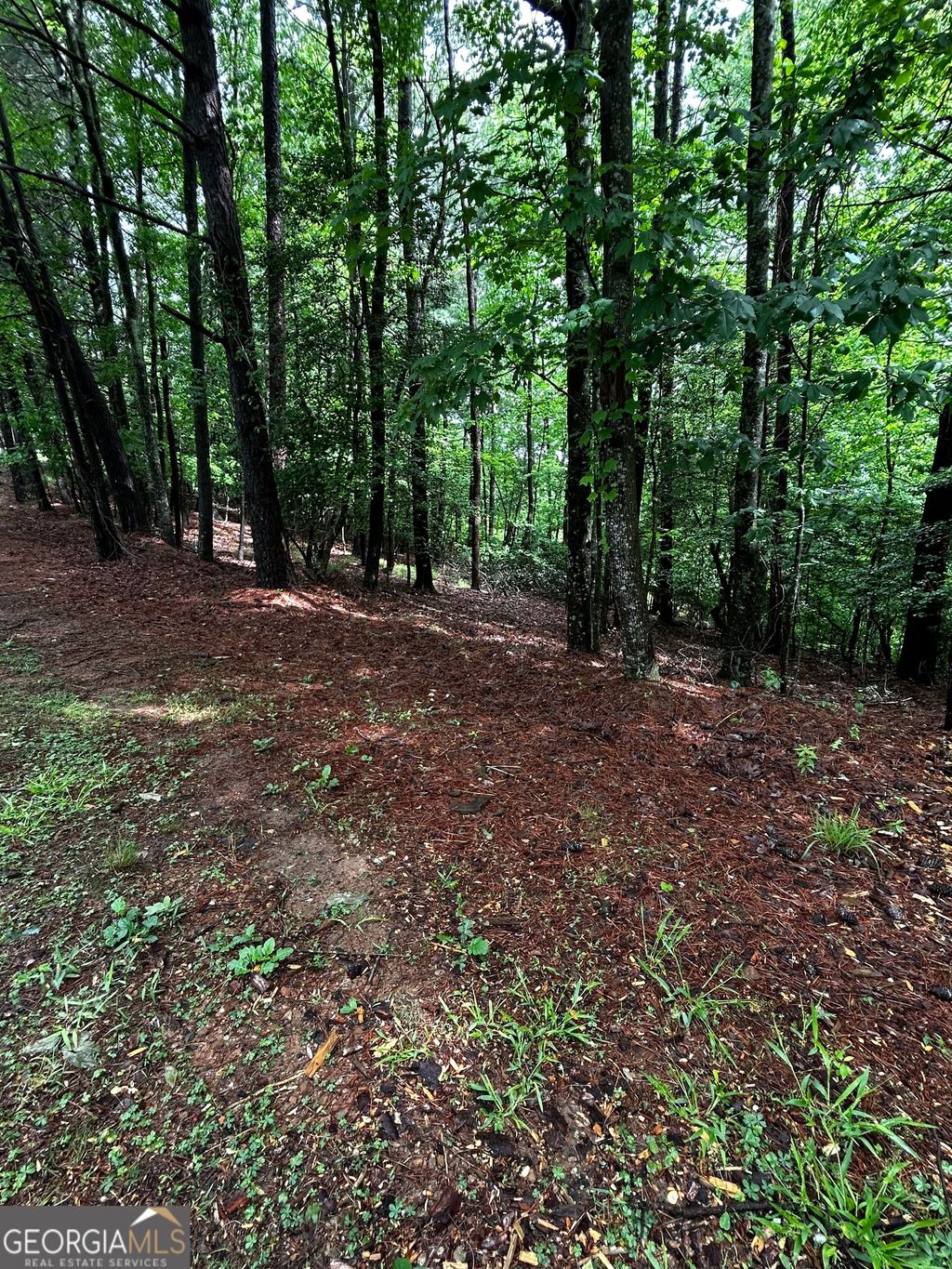 Photo of 10800 Lazy River Lane, Ellijay, GA 30540 (MLS # 10760899)