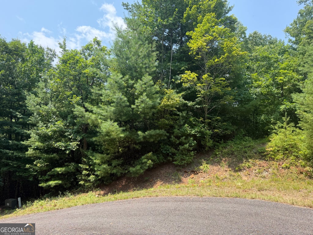 Photo of 0 Whisper Ridge Court, Hiawassee, GA 30546 (MLS # 10815790)