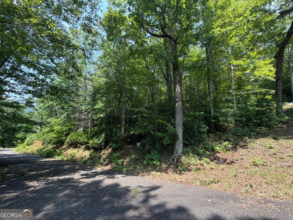 Photo of 0 Whisper Ridge Court, Hiawassee, GA 30546 (MLS # 10815790)