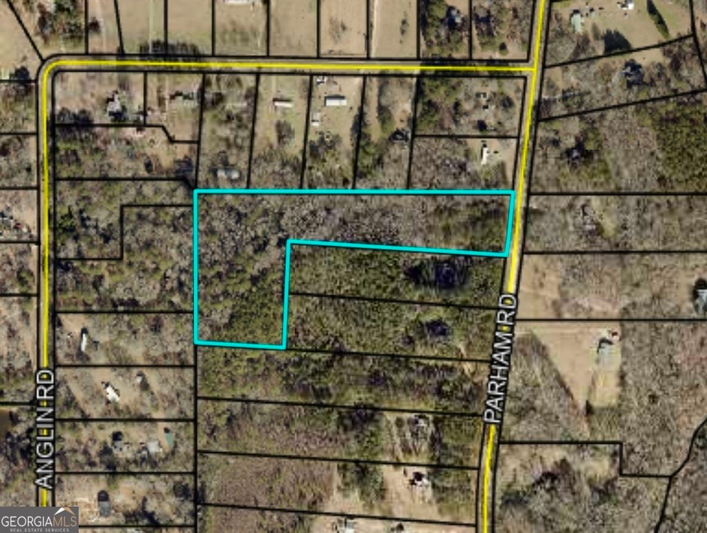Photo of 907 PARHAM Road, Griffin, GA 30224 (MLS # 10764933)
