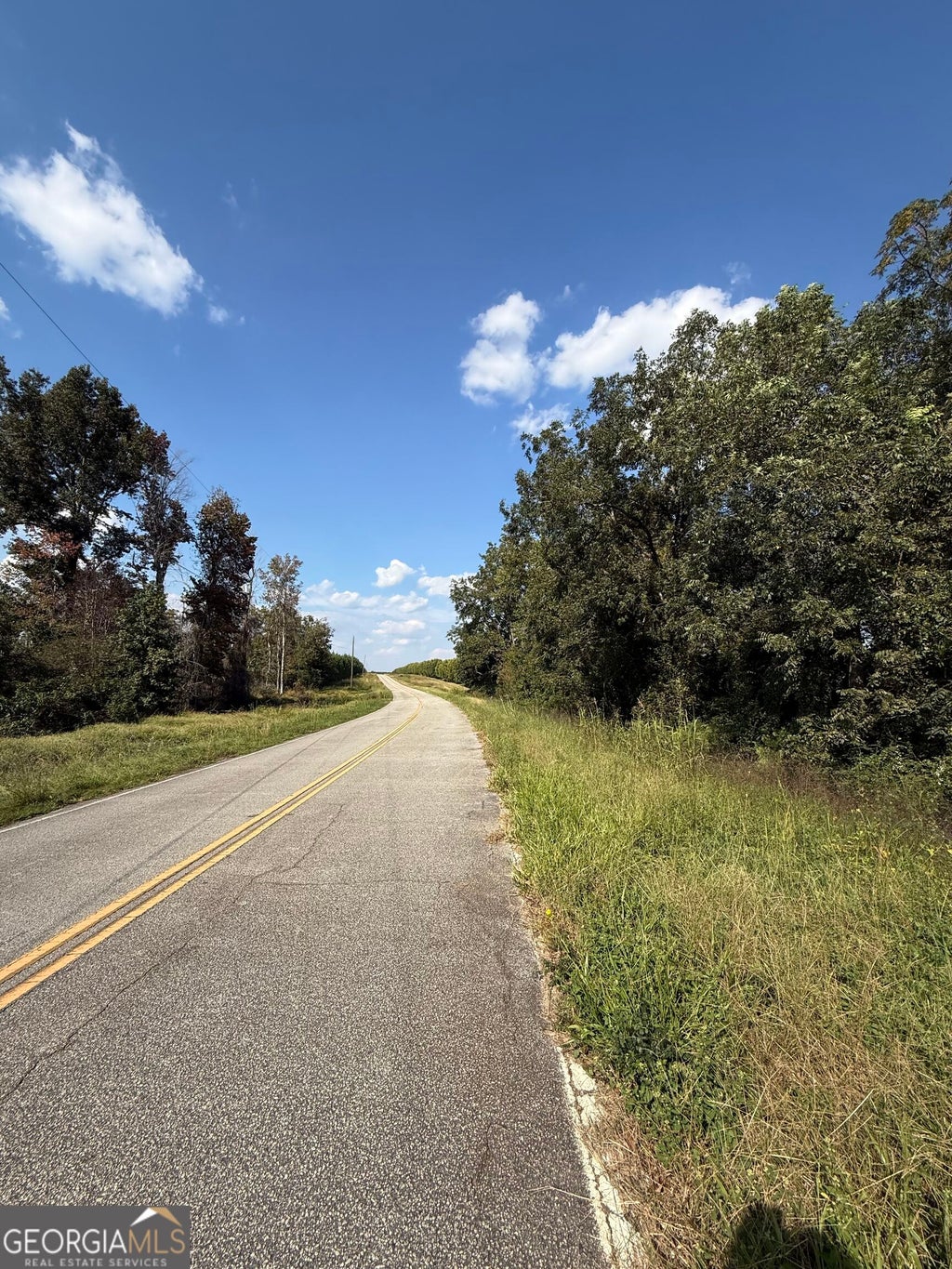 Photo of 1 Harrison Davisboro Road, Davisboro, GA 31018 (MLS # 10874871)