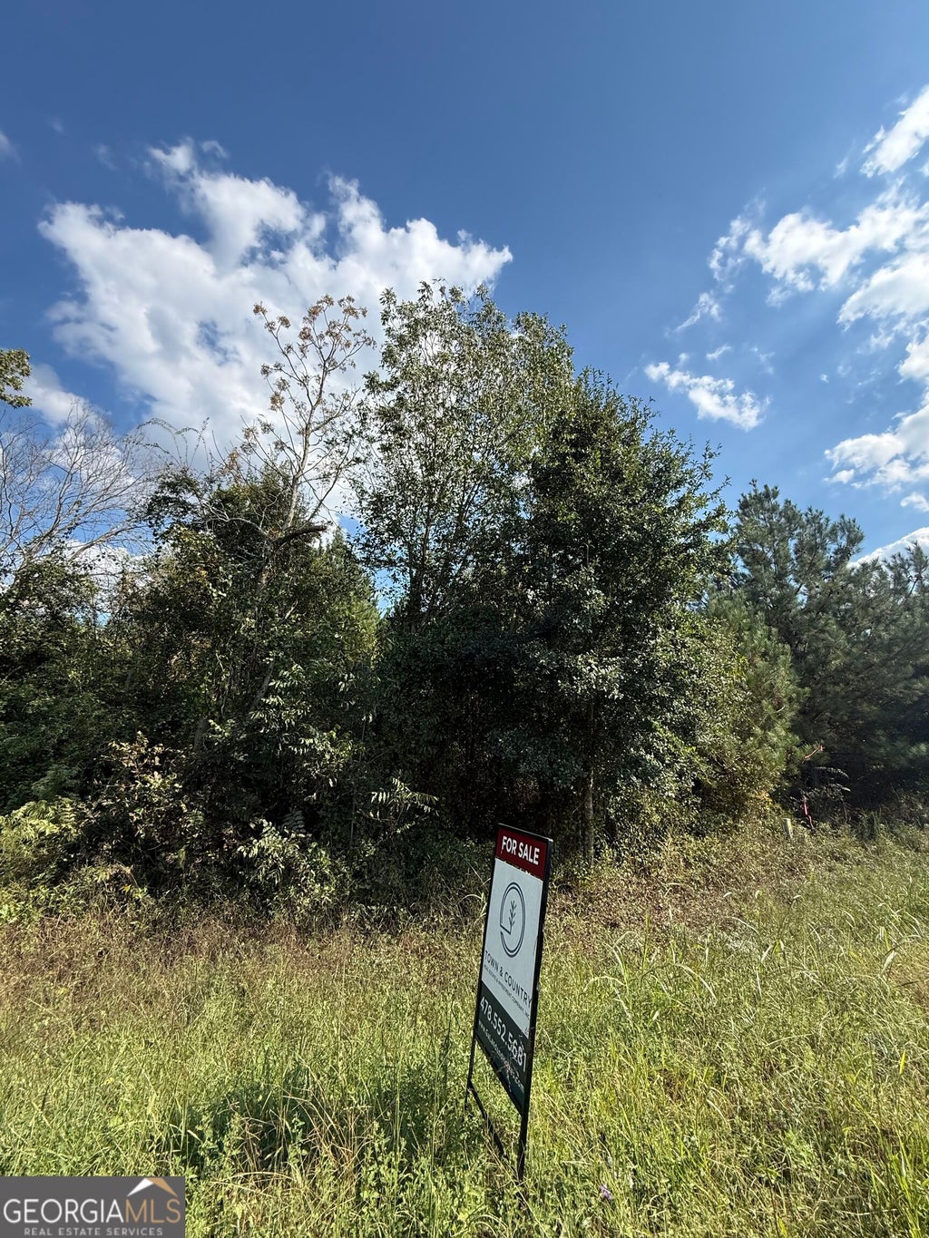 Photo of 1 Harrison Davisboro Road, Davisboro, GA 31018 (MLS # 10874871)