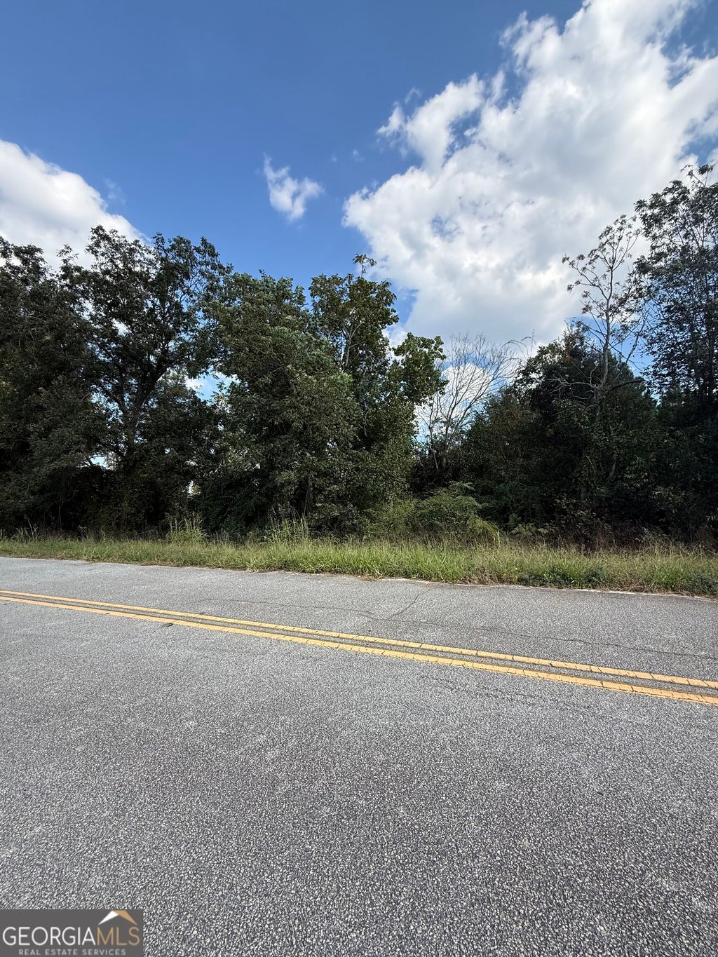 Photo of 1 Harrison Davisboro Road, Davisboro, GA 31018 (MLS # 10874871)