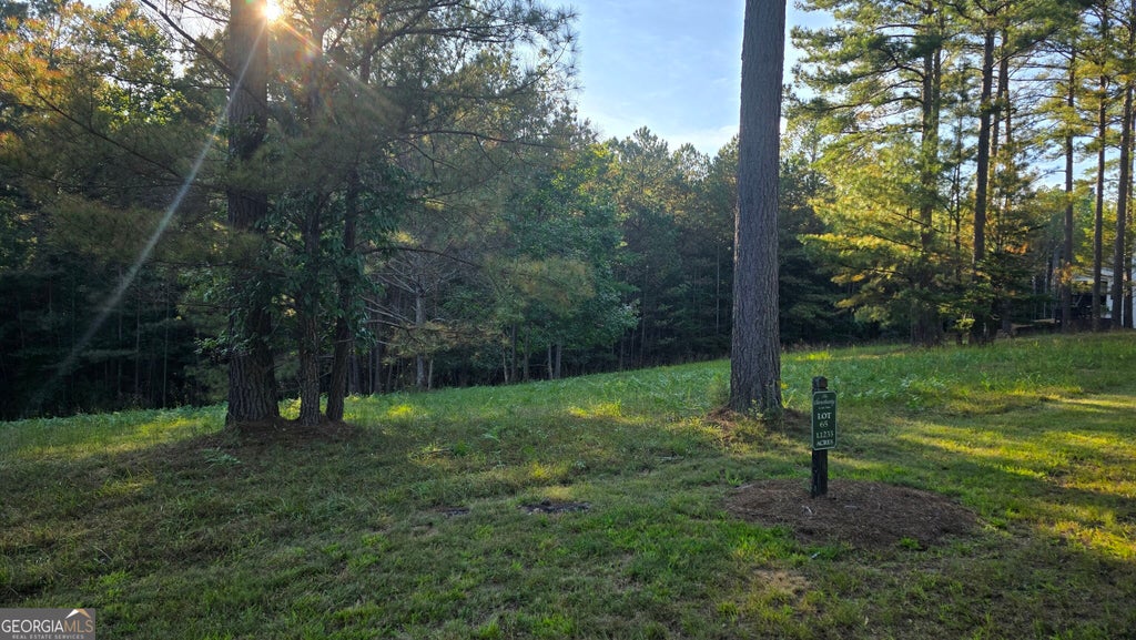 Photo of 65 Brook Green Court, Blairsville, GA 30512 (MLS # 10866937)