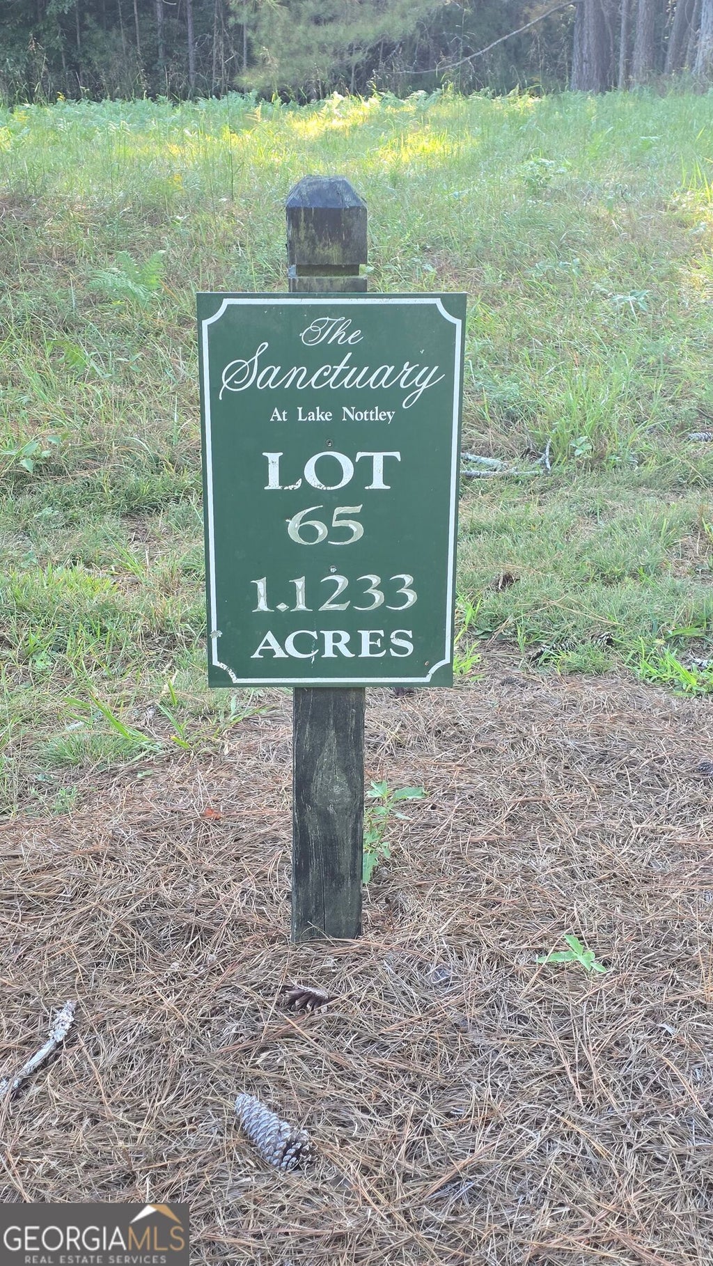 Photo of 65 Brook Green Court, Blairsville, GA 30512 (MLS # 10866937)