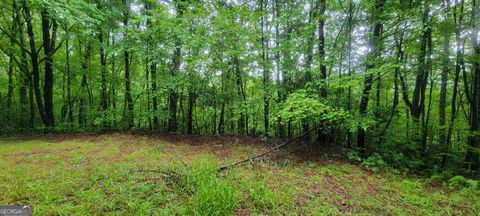 Photo of 0 Bonanza Lane, Tiger, GA 30576 (MLS # 10579703)