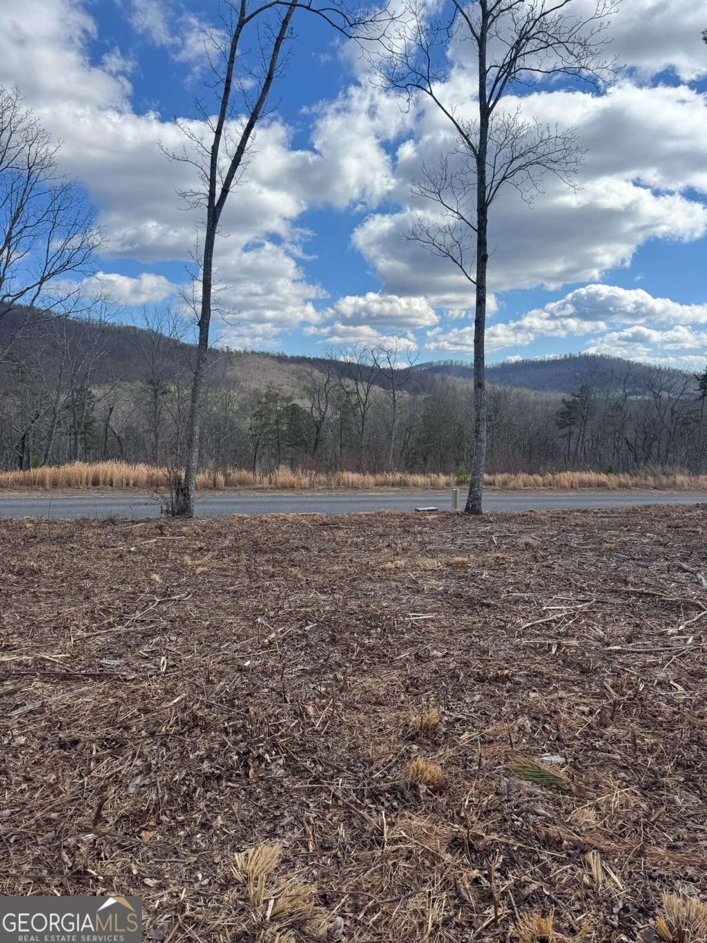 Photo of 279 Highgrove Drive, Talking Rock, GA 30175 (MLS # 10700724)