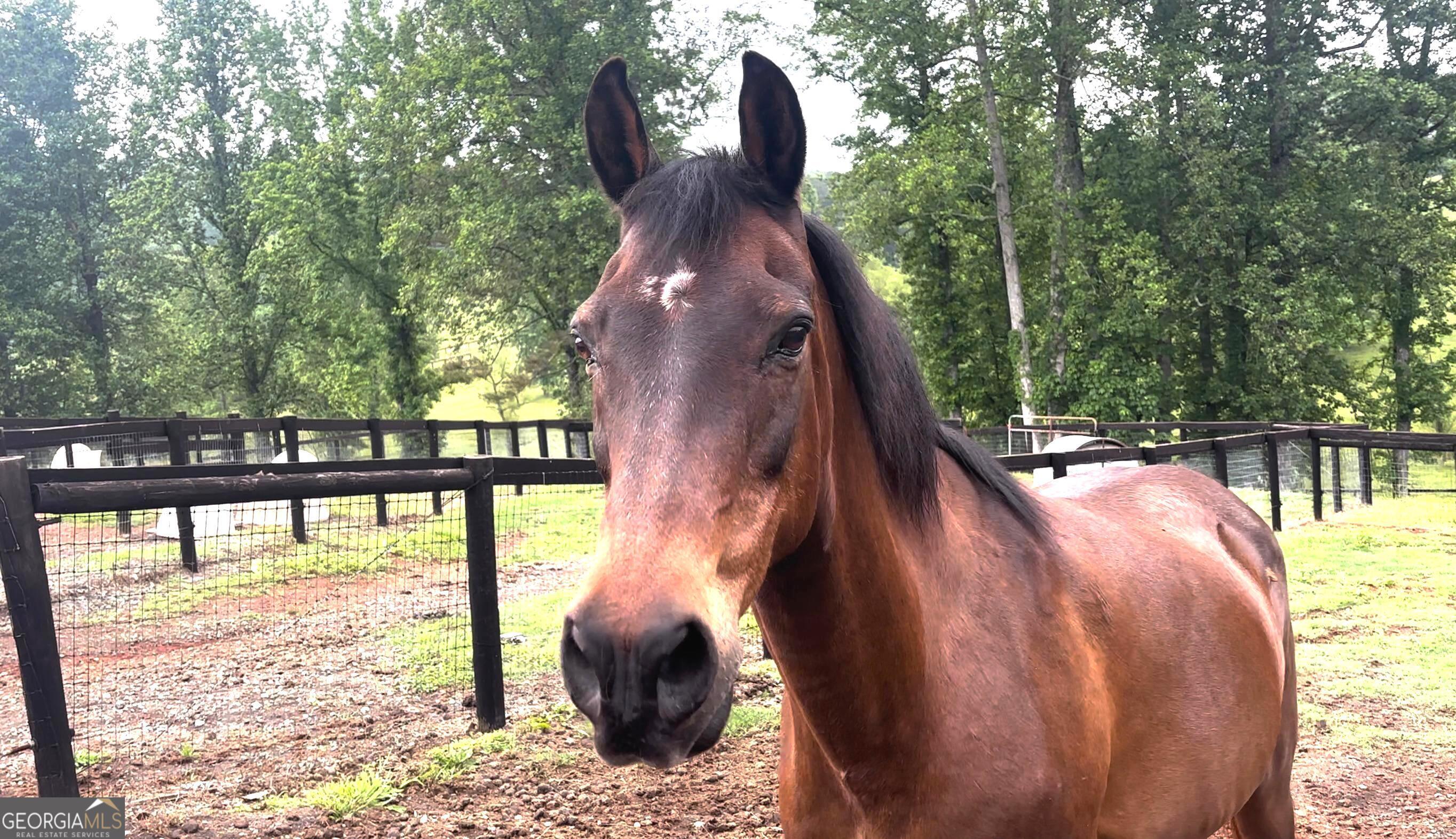 387 Debord DR LOT #3