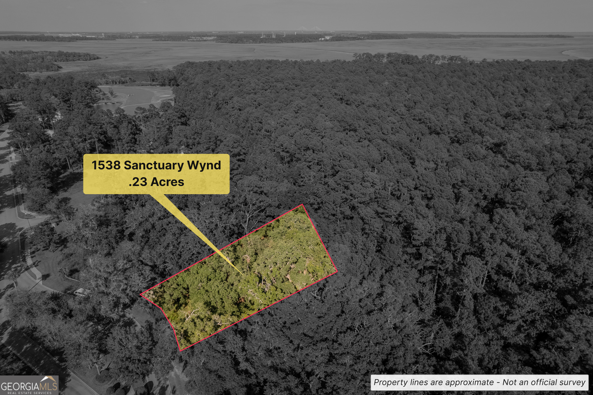 Imagine your custom home nestled on this serene 0.23-acre homesite located behind the gates of Sanctuary Cove in Waverly, Georgia. This exceptional lot is located outside any high-risk flood zone, meaning no flood insurance required, giving you both peace of mind and long-term savings Secure your future in this resort-style enclave where everyday life feels like a retreat. Residents enjoy exclusive access to a beautifully designed river house, complete with a scenic day dock on the Little Satilla River, a refreshing community pool and state-of-the-art fitness center, tennis/pickleball courts, walking trails and boat/RV storage. Just minutes from I-95, and a short drive from the beaches of St. Simons, Jekyll Island, historic Brunswick, and just 45 minutes from Jacksonville International Airport.