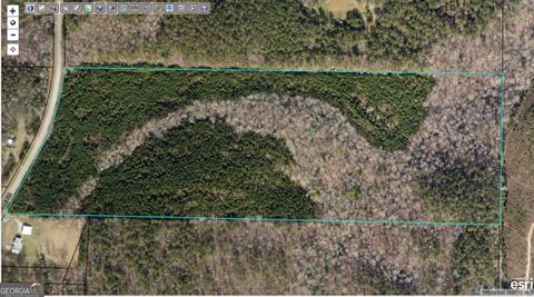 0 Roosterville RD TRACT 3 Franklin GA 30217