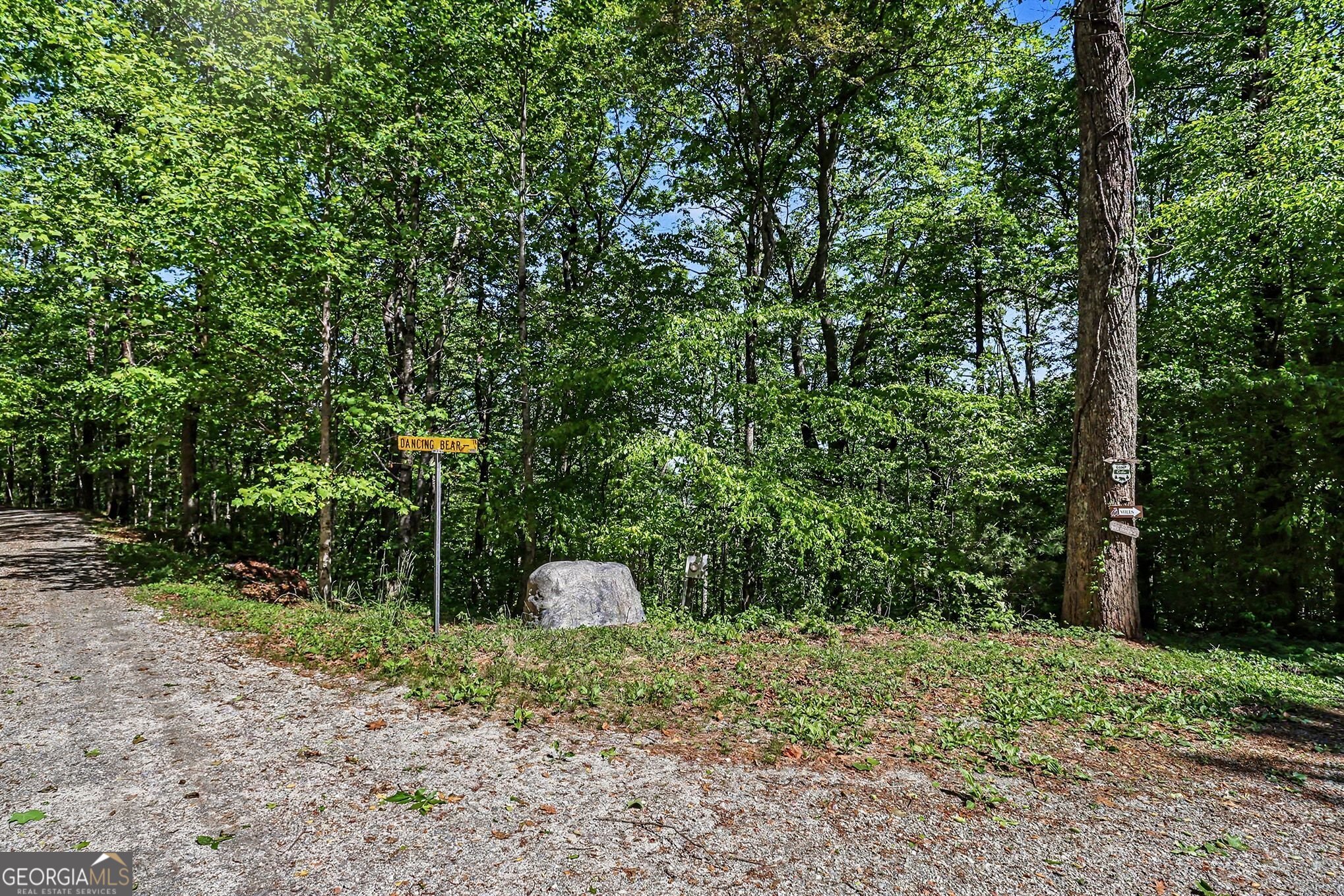 4 ACRES Dancing Bear Trail