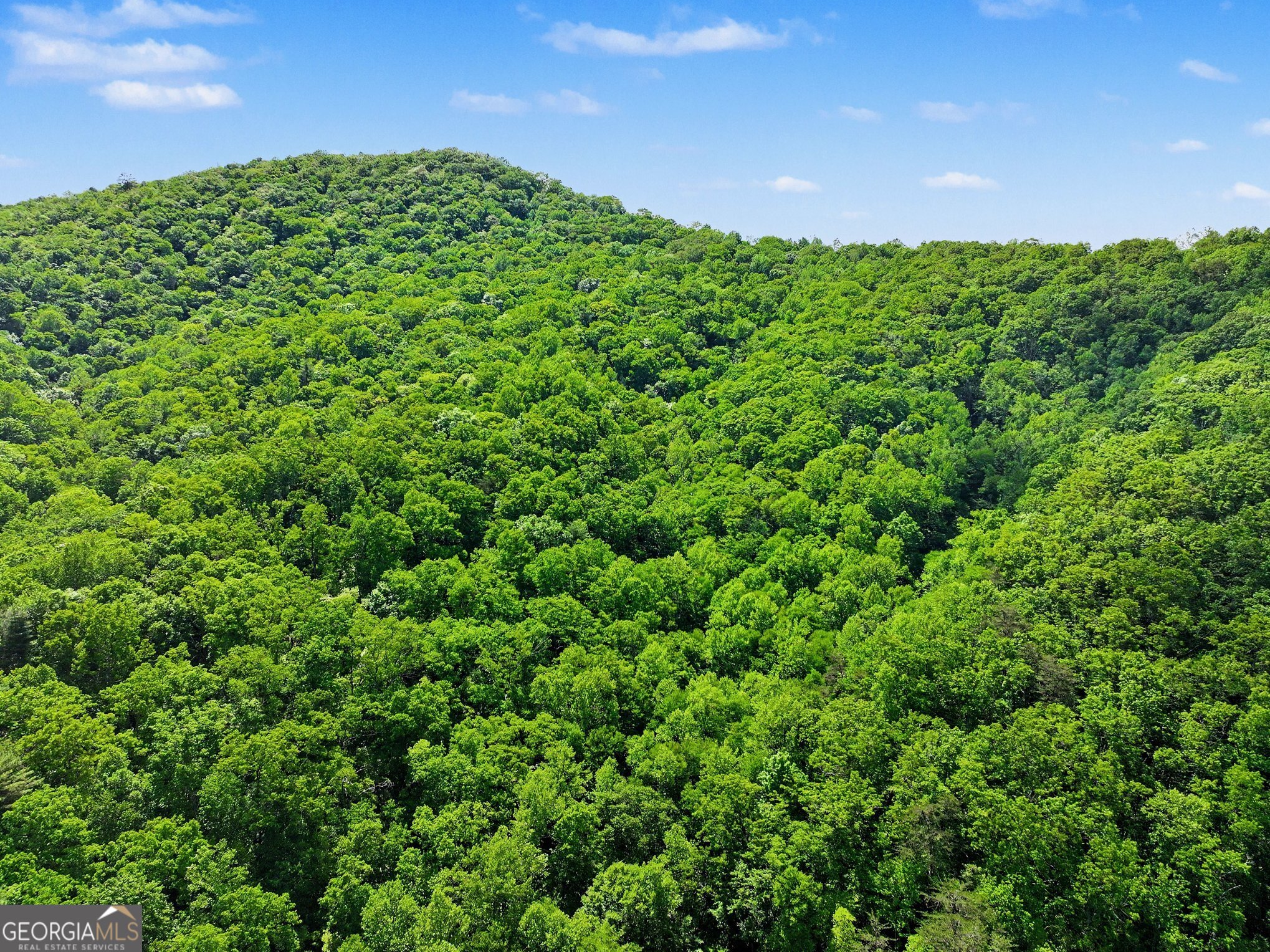 4 ACRES Dancing Bear Trail