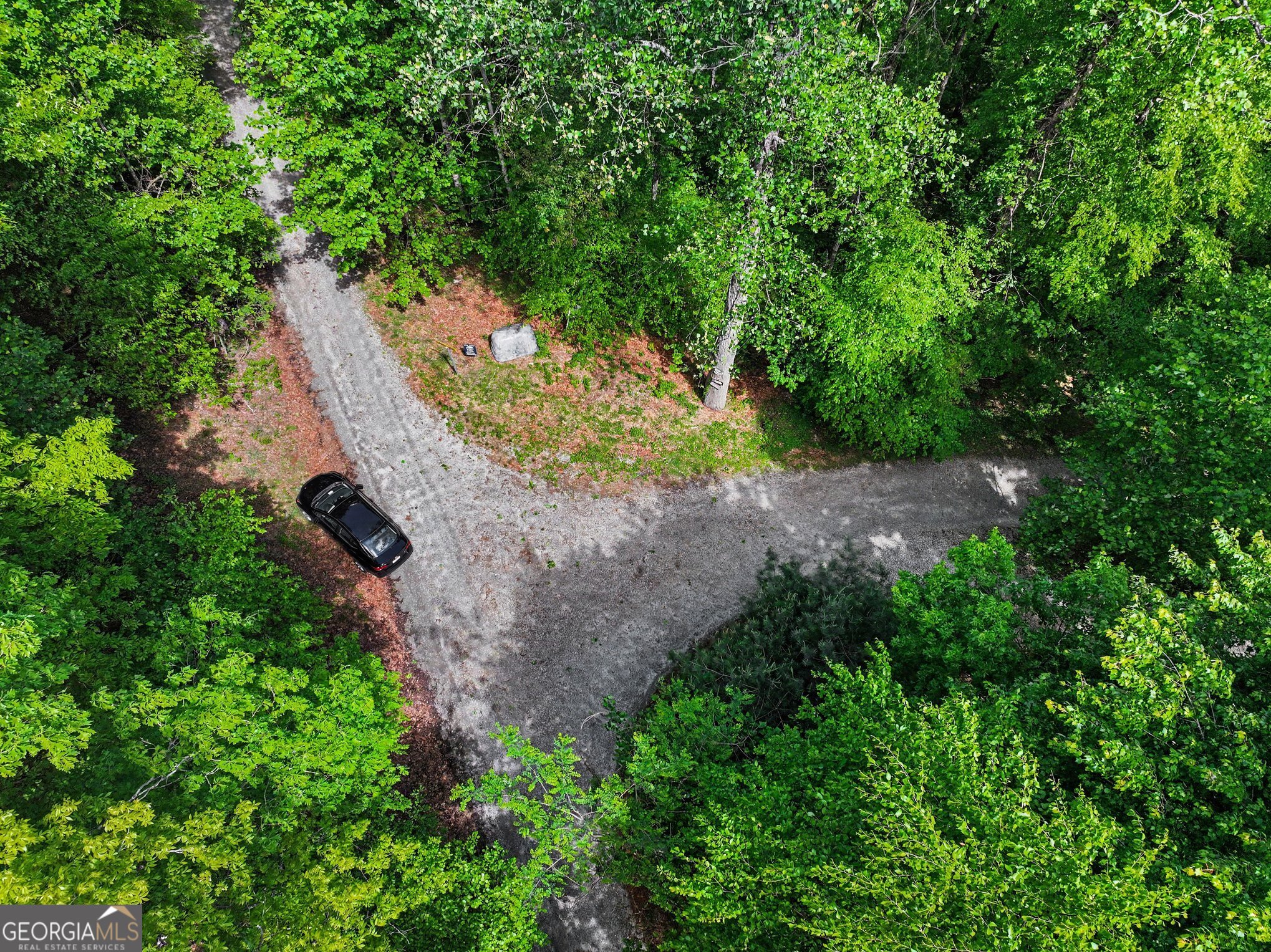 4 ACRES Dancing Bear Trail