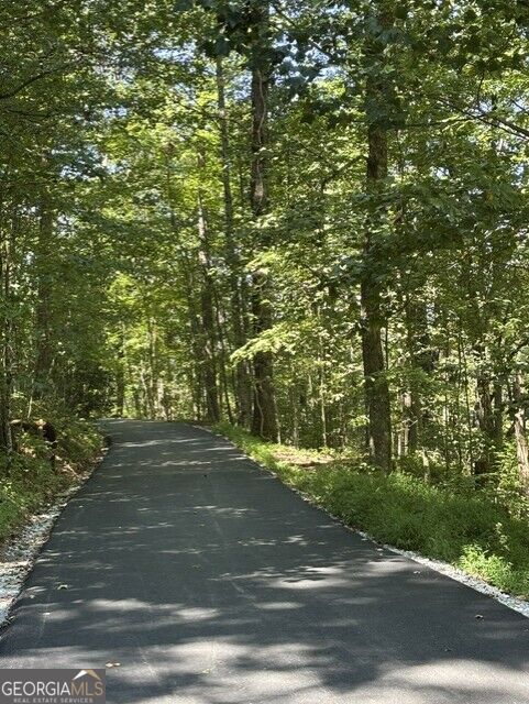 4 ACRES Dancing Bear TRL