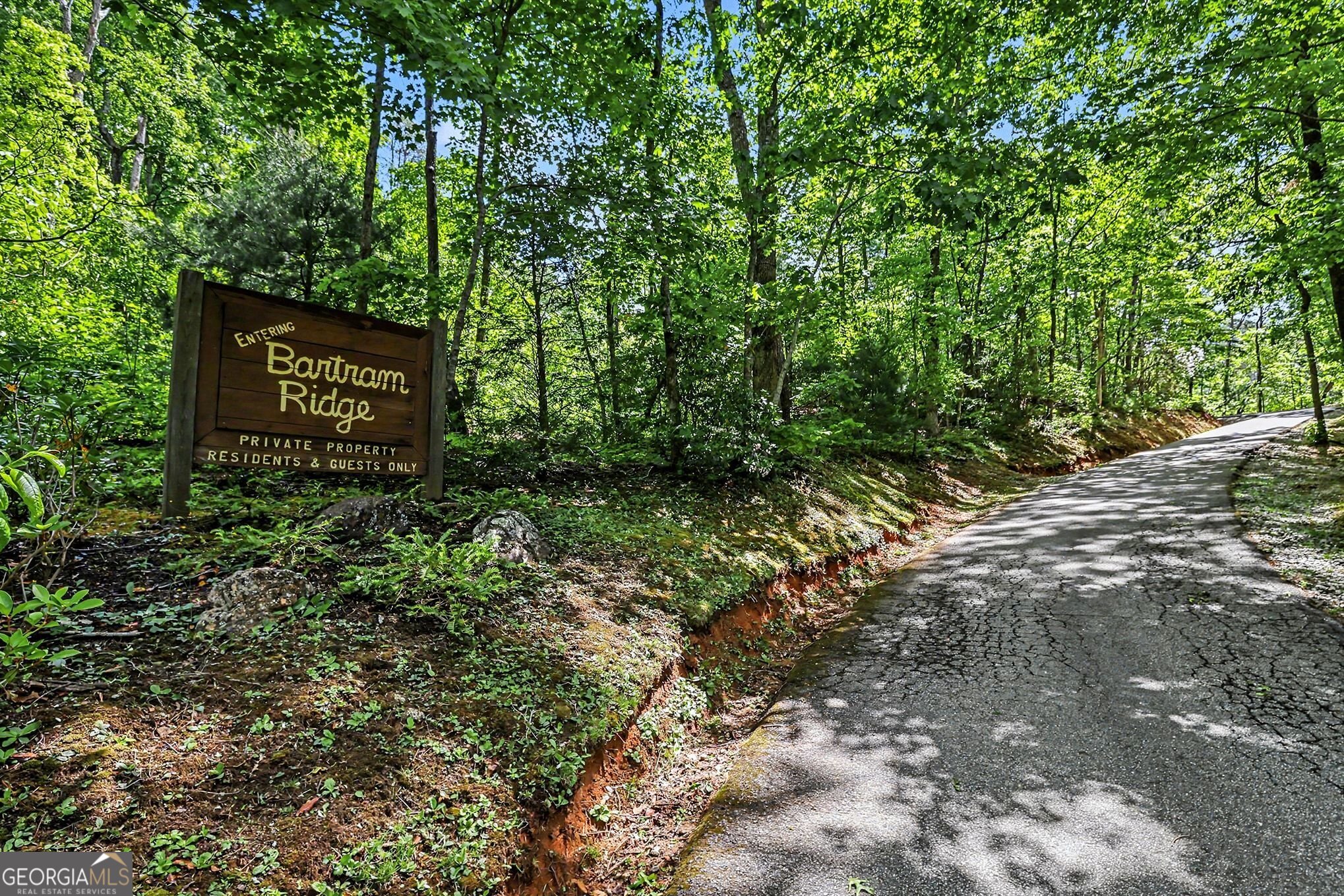 4 ACRES Dancing Bear Trail