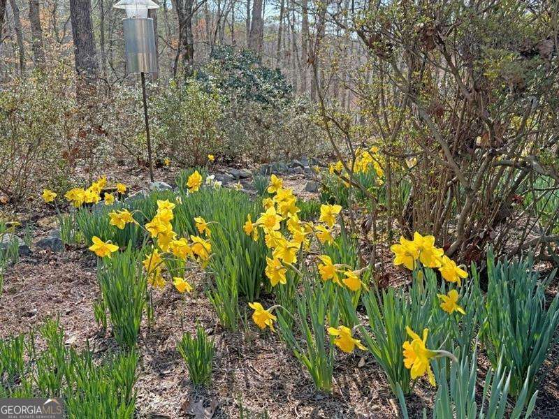 Douglasville, Georgia 30135, United States, 3 Bedrooms Bedrooms, ,4 BathroomsBathrooms,Residential,Active,12936