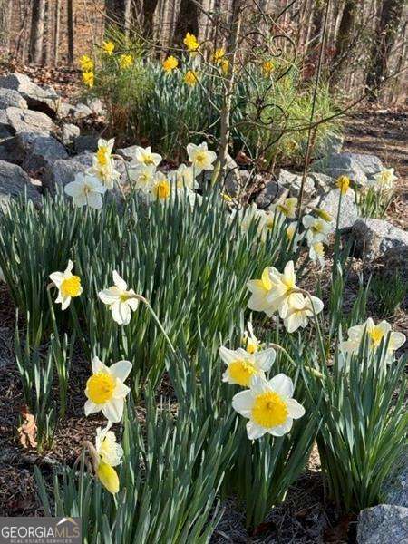 Douglasville, Georgia 30135, United States, 3 Bedrooms Bedrooms, ,4 BathroomsBathrooms,Residential,Active,12936