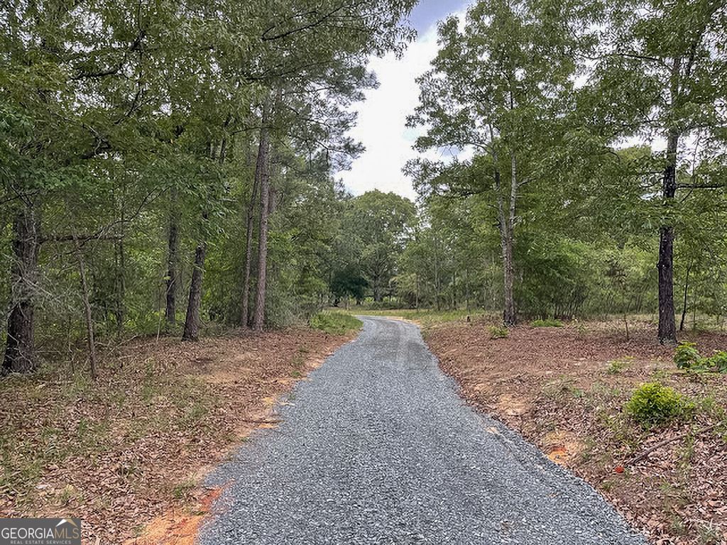 Photo of 62 Brannon Montgomery Road, Mauk, GA 31058 (MLS # 10713054)