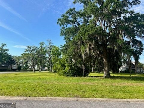 LOT 48 Maiden Creek DR Waverly GA 31565