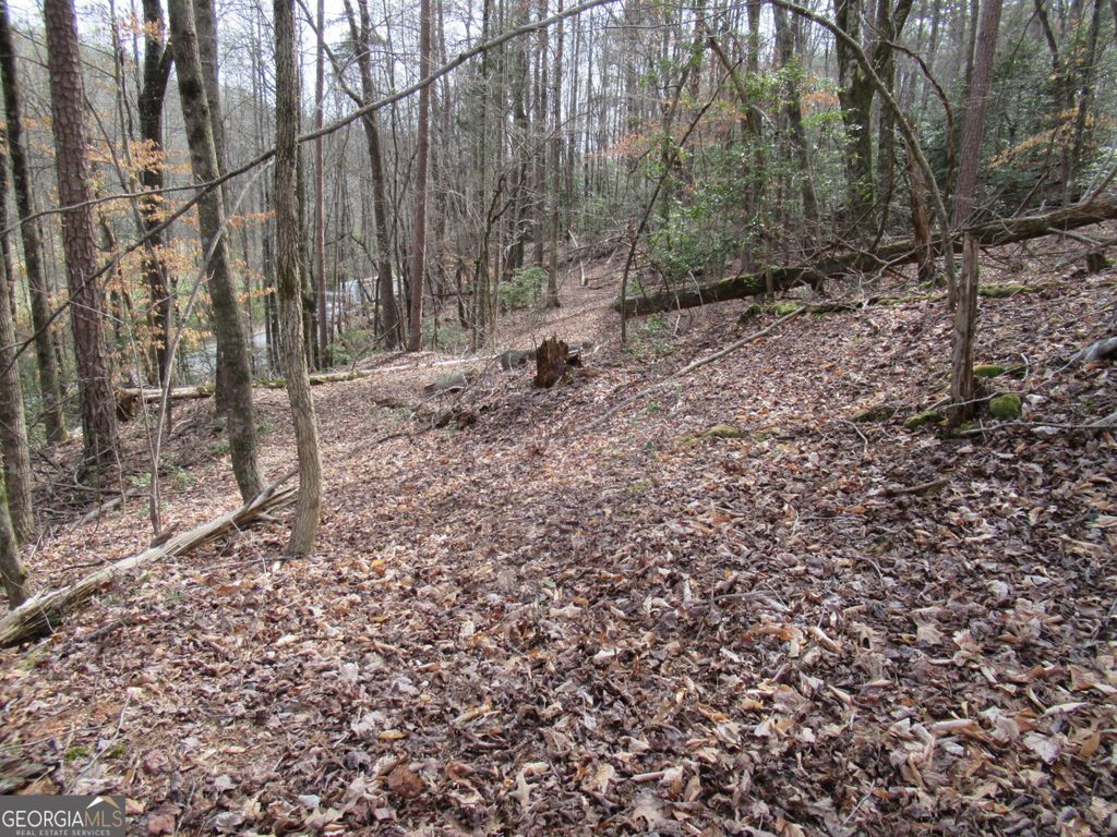 Photo of 0 Long Branch Road, Dahlonega, GA 30533 (MLS # 10271720)