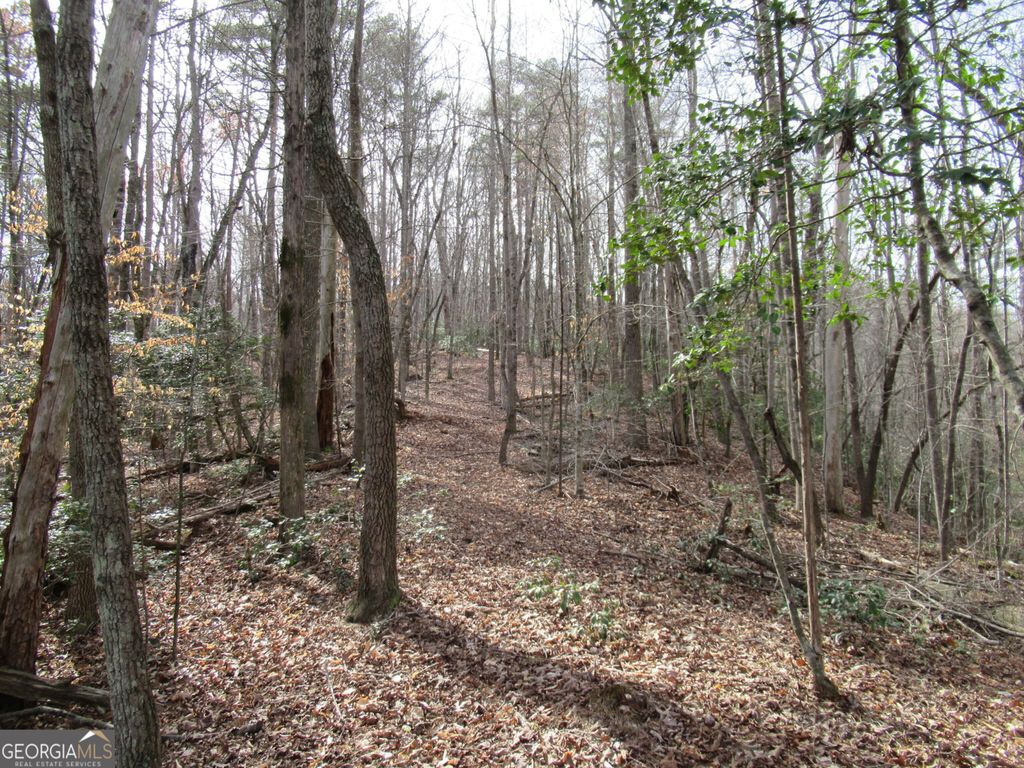 Photo of 0 Long Branch Road, Dahlonega, GA 30533 (MLS # 10271720)
