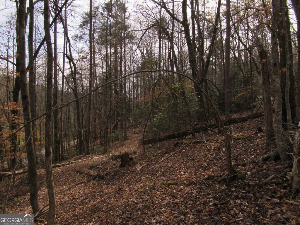 Photo of 0 Long Branch Road, Dahlonega, GA 30533 (MLS # 10271720)