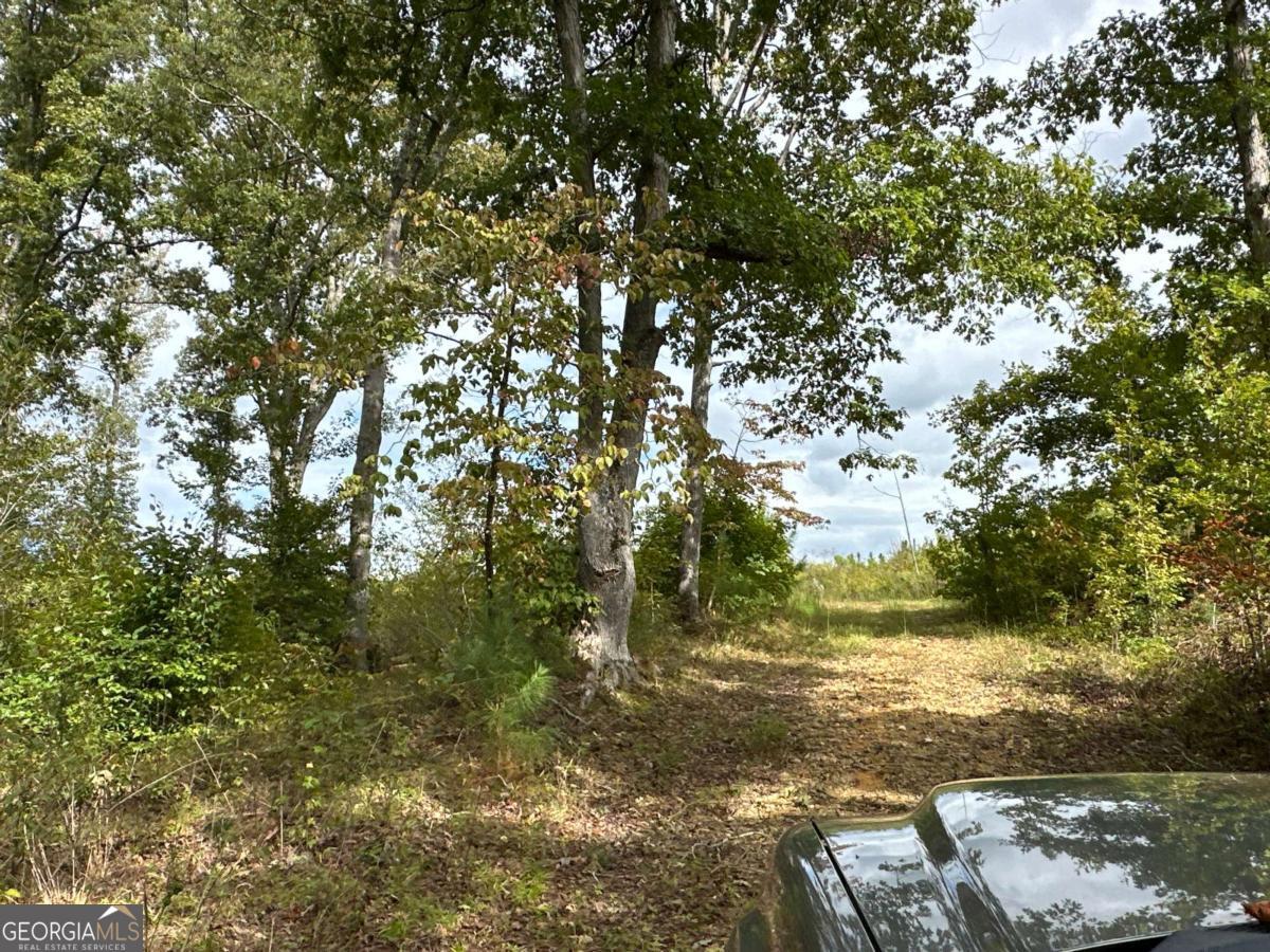 1849 Prior Station RD 76 ACRES